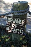 Beware of Alligators