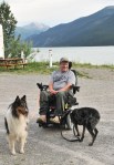 Wheelchair with dogs