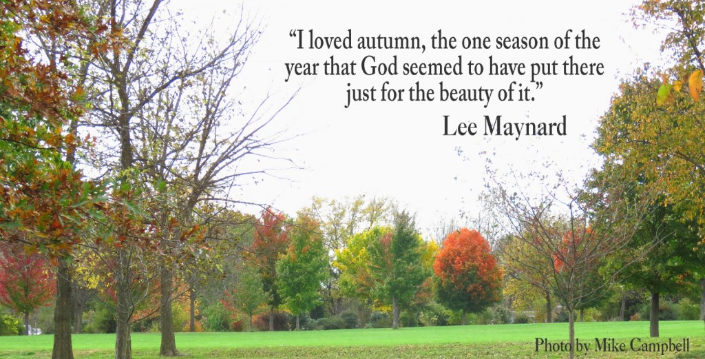 Before Fall Goes (Detour&nbsp;#19)