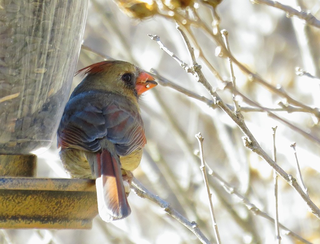 A Hard Drive&nbsp;Haiku