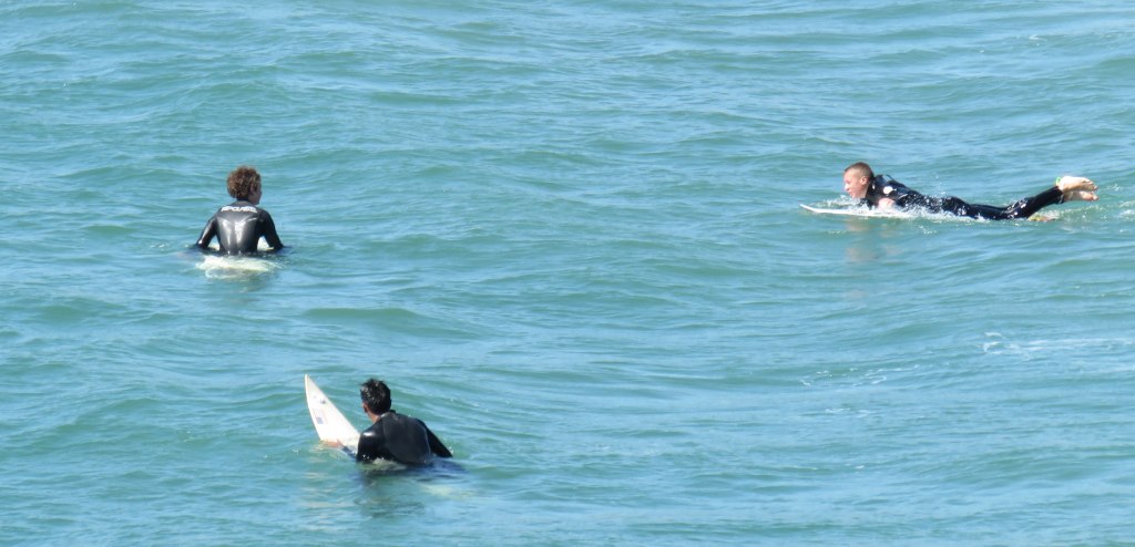 Surfers waiting for a wave